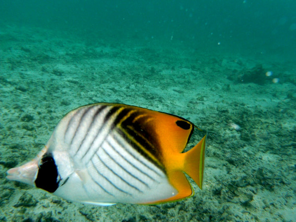 马尔代夫旅游攻略图片