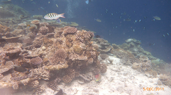 马尔代夫景点图片