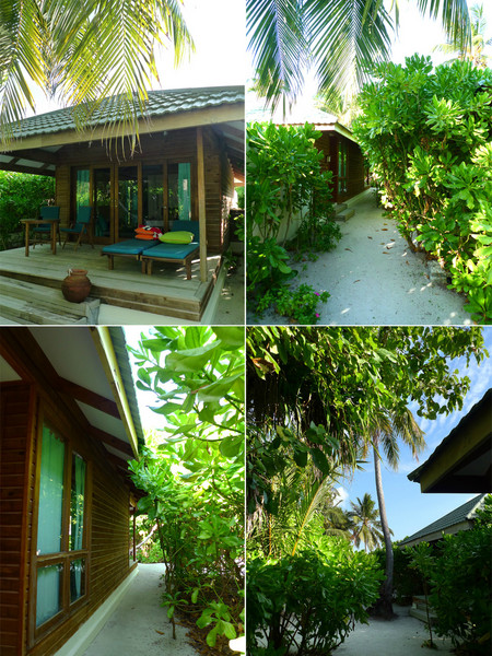 马尔代夫自助游图片