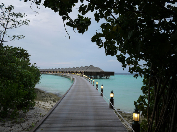 马尔代夫自助游图片 马尔代夫自助游图片