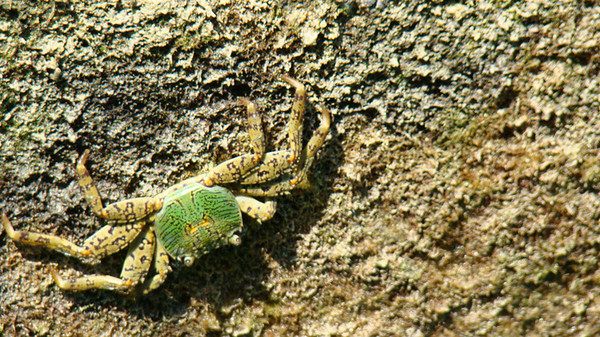 马尔代夫旅游攻略图片