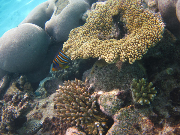 马尔代夫景点图片 马尔代夫景点图片