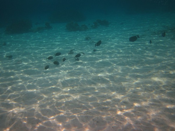 马尔代夫旅游攻略图片 马尔代夫旅游攻略图片