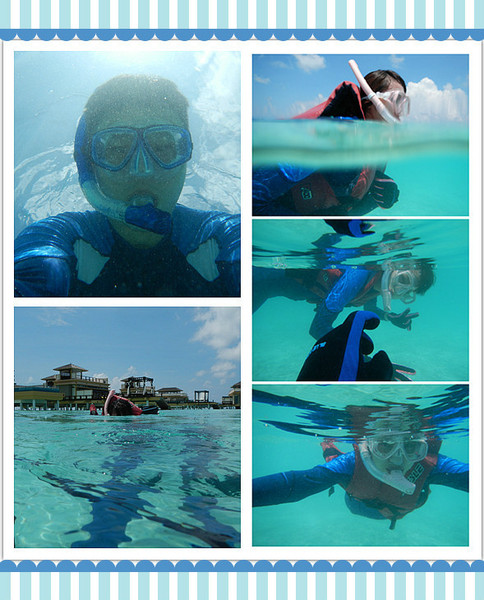 薇拉瓦鲁岛图片