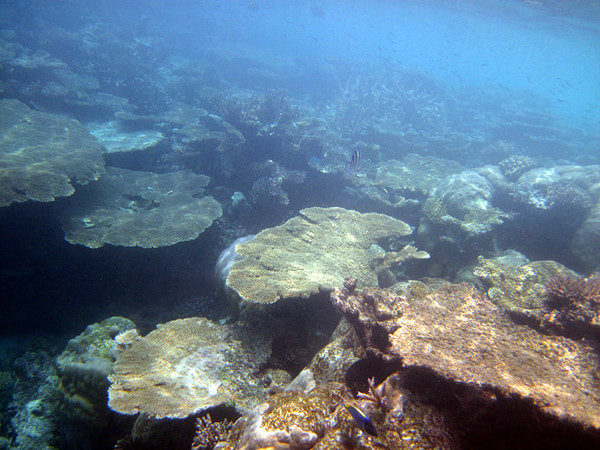 马尔代夫自助游图片