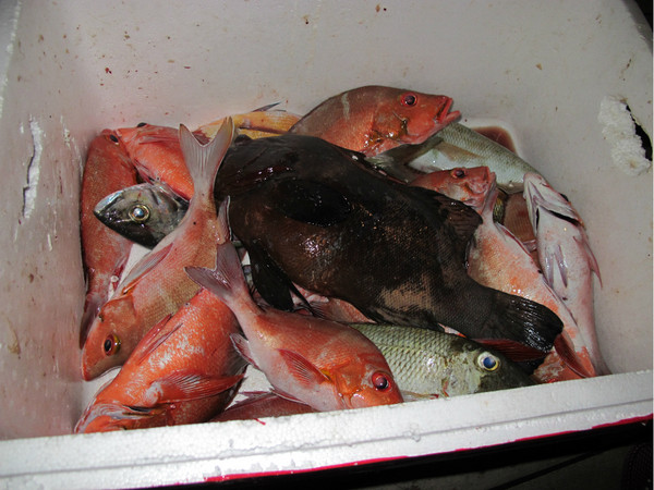 伊露岛景点图片 伊露岛景点图片