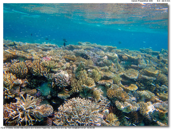 马尔代夫自助游图片