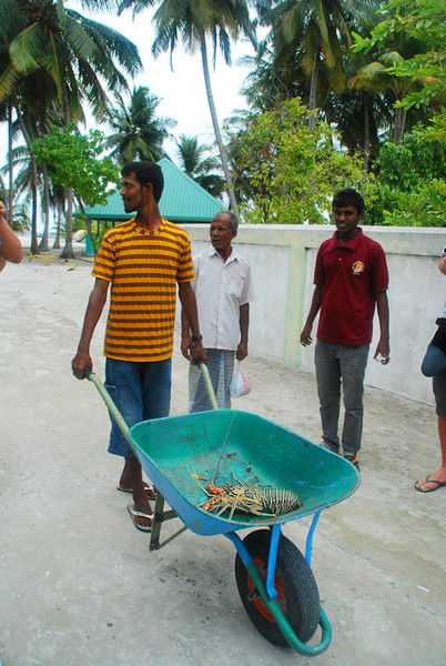 马尔代夫景点图片 马尔代夫景点图片