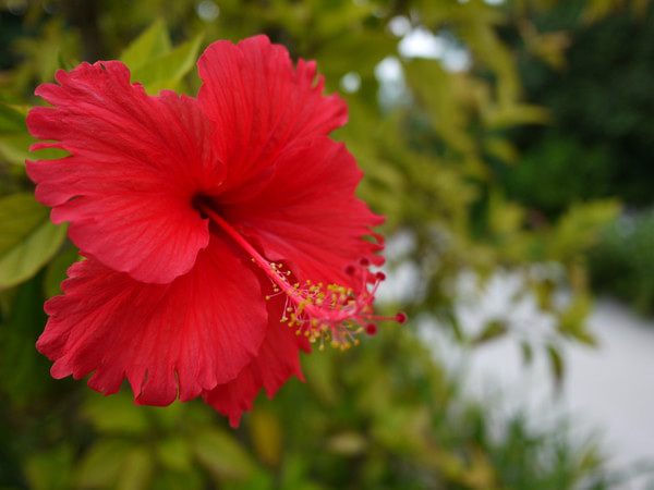马尔代夫景点图片 马尔代夫景点图片