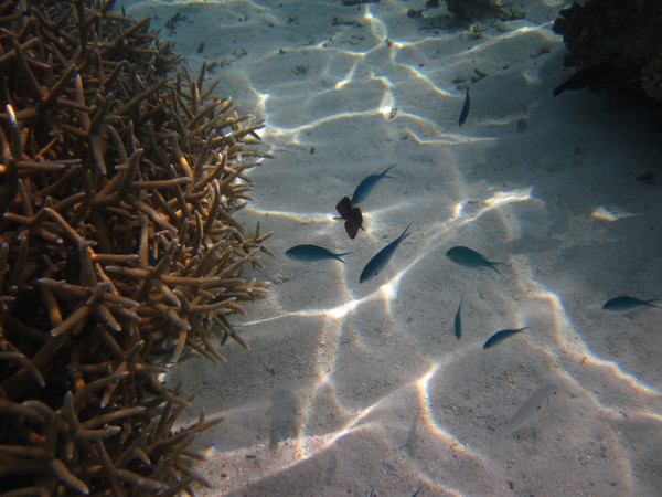马尔代夫旅游攻略图片 马尔代夫旅游攻略图片