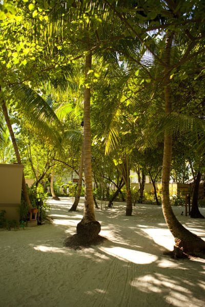 马尔代夫自助游图片