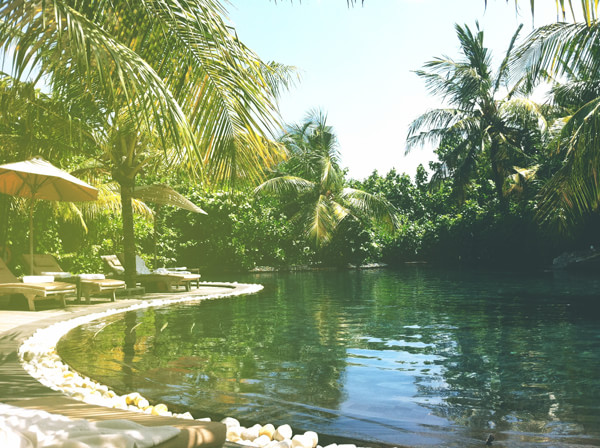 马尔代夫自助游图片