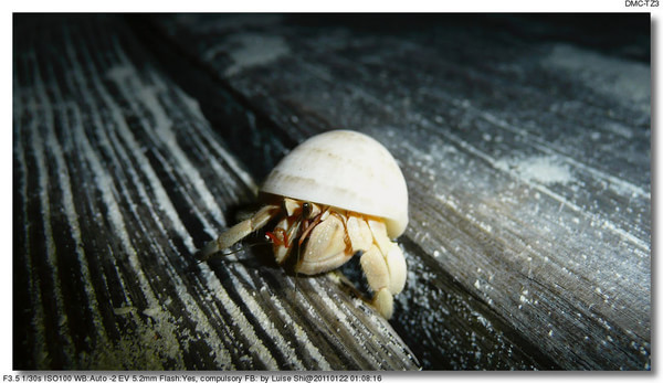 马尔代夫自助游图片