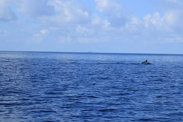 马尔代夫自助游图片 马尔代夫自助游图片