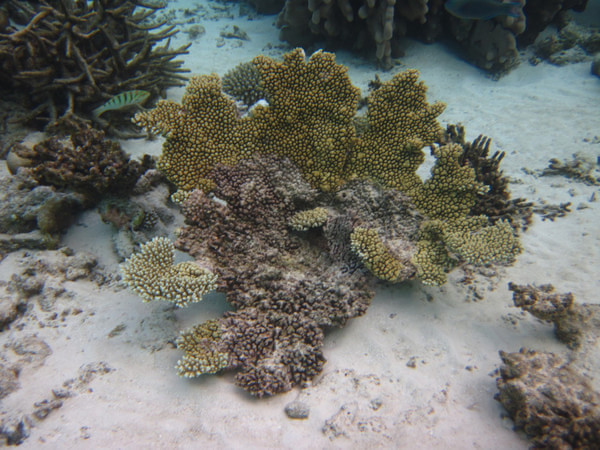 马尔代夫景点图片 马尔代夫景点图片