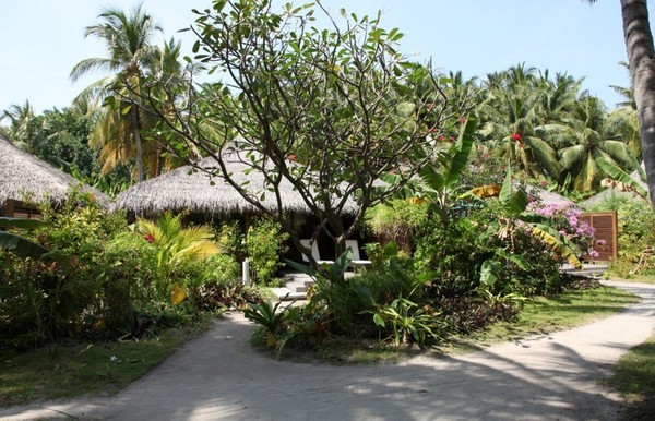 马尔代夫自助游图片