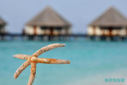 马儿代夫密度帕如岛攻略,马尔代夫游记，海岸线假期