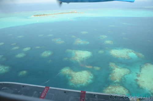 最美niyama蜜月，I‘ll be back!!!,马尔代夫游记，海岸线假期