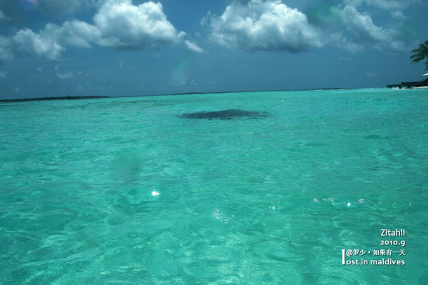 马尔代夫自助游图片