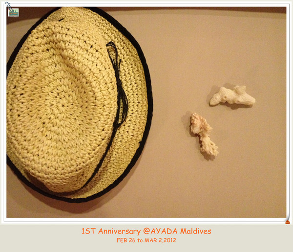 马尔代夫自助游图片