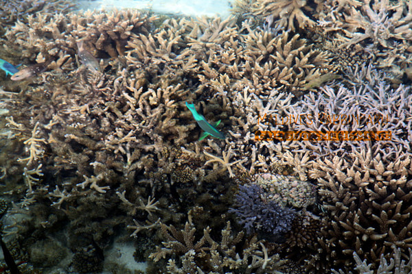 马尔代夫图片 马尔代夫图片