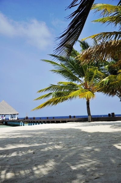 马尔代夫旅游攻略图片