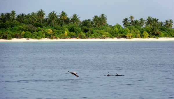 马尔代夫景点图片