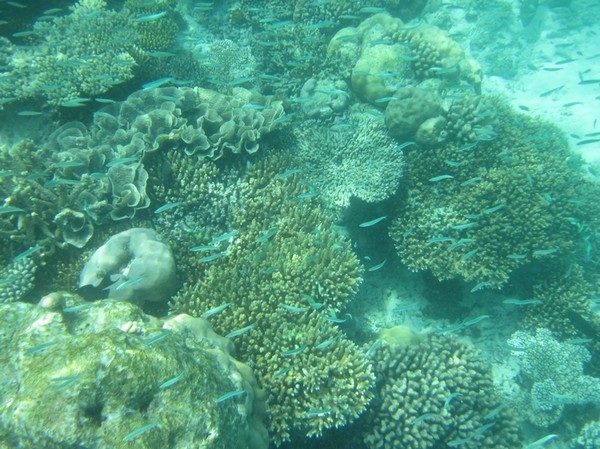 马尔代夫景点图片