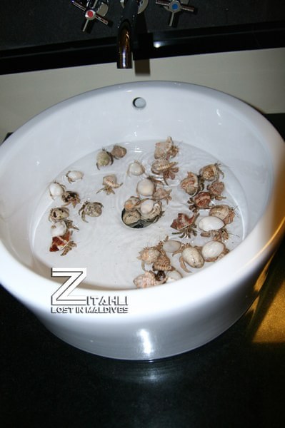 马尔代夫旅游攻略图片