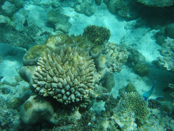 马尔代夫旅游攻略图片