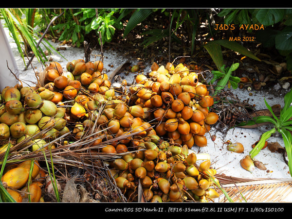 马尔代夫旅游攻略图片