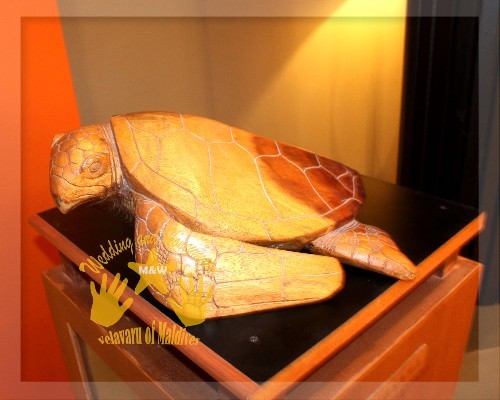 马尔代夫旅游攻略图片 马尔代夫旅游攻略图片