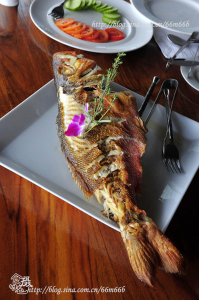 马尔代夫景点图片 马尔代夫景点图片