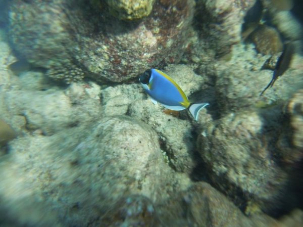 马尔代夫旅游攻略图片 马尔代夫旅游攻略图片