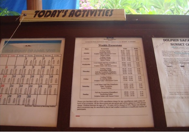 报名表1,博博客专访活动,蜜月,马尔代夫