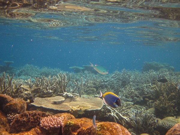 马尔代夫图片 马尔代夫图片