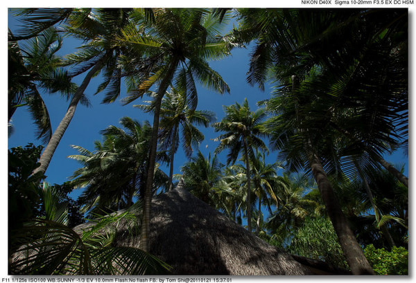 马尔代夫景点图片