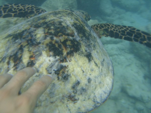 马尔代夫旅游攻略图片