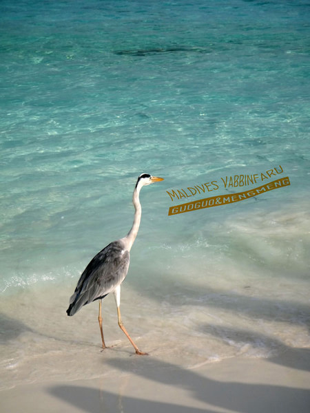 马尔代夫景点图片 马尔代夫景点图片