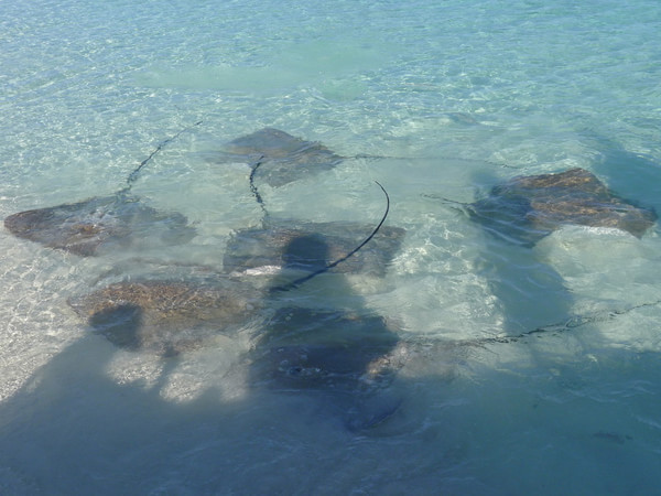 马尔代夫自助游图片 马尔代夫自助游图片