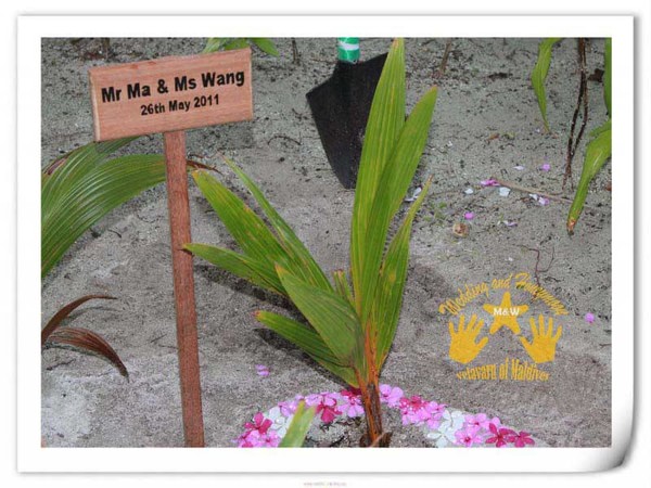 马尔代夫旅游攻略图片 马尔代夫旅游攻略图片