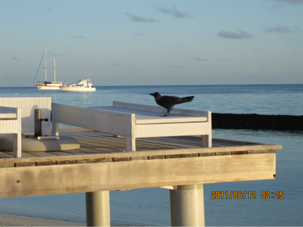 马尔代夫自助游图片 马尔代夫自助游图片