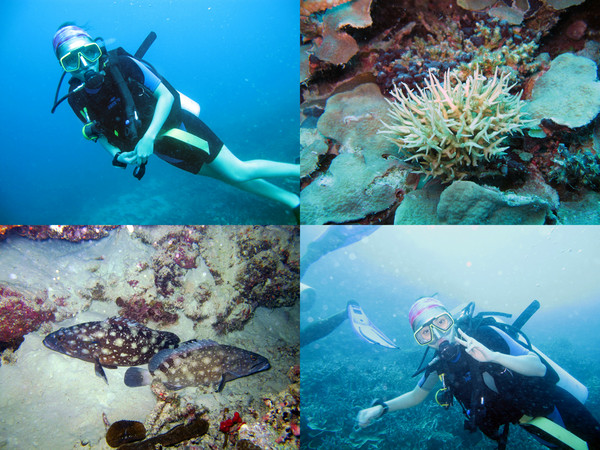 马尔代夫自助游图片