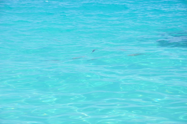 马尔代夫景点图片 马尔代夫景点图片