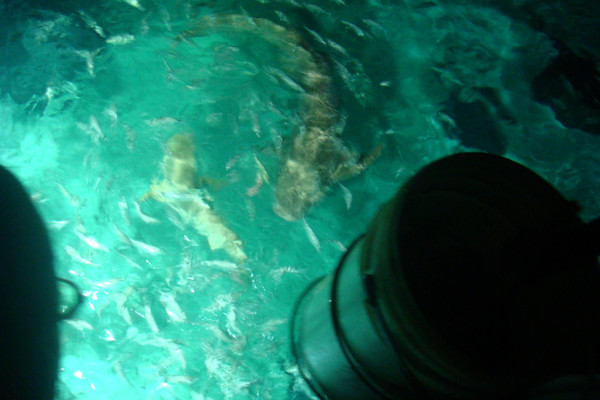 马尔代夫景点图片