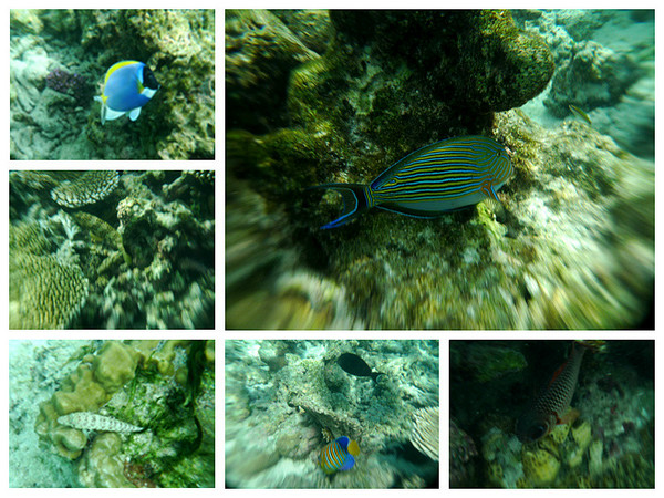 马尔代夫景点图片 马尔代夫景点图片