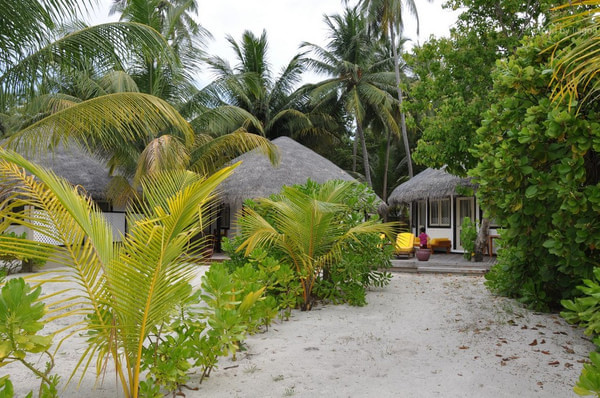 马尔代夫自助游图片 马尔代夫自助游图片