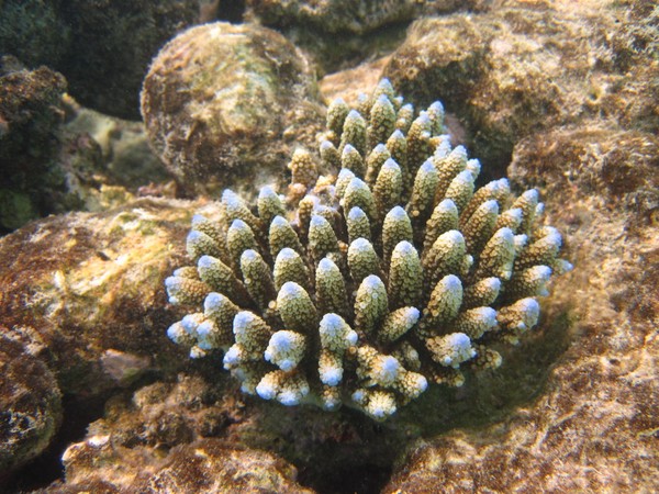 马尔代夫景点图片 马尔代夫景点图片