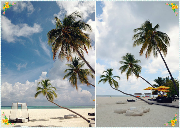 薇拉瓦鲁岛图片