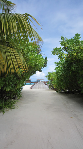 马尔代夫旅游攻略图片